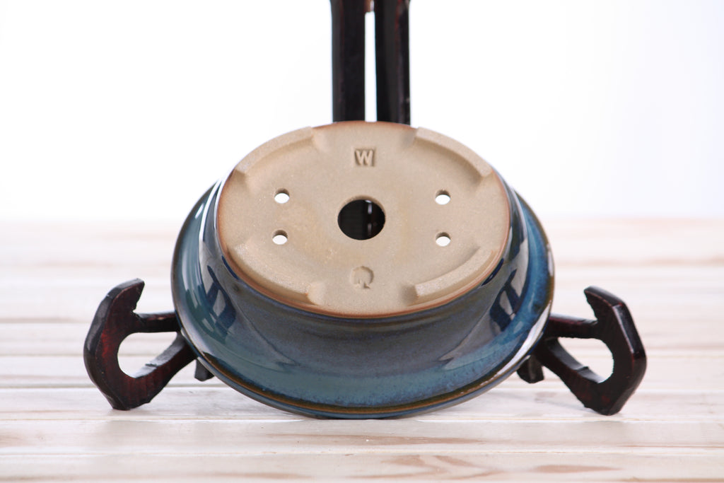 Willow Bonsai Ceramics Fat Bonsai Pot 5.5 Inch – Bold Oval Ceramic Bonsai & Succulent Planter with Accentuated Rim, High‑Fired Frost‑Proof Stoneware, Handmade in USA (Peacock 2025)