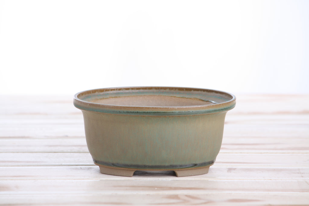Willow Bonsai Ceramics Fat Bonsai Pot 5.5 Inch – Bold Oval Ceramic Bonsai & Succulent Planter with Accentuated Rim, High‑Fired Frost‑Proof Stoneware, Handmade in USA (Speckled Moss)