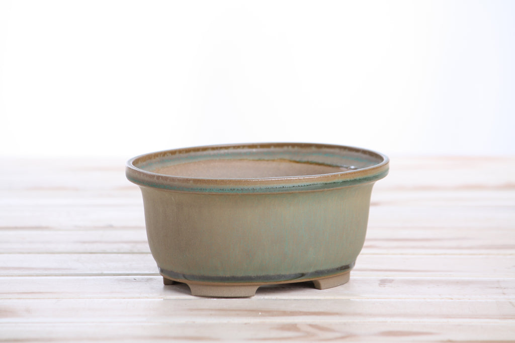 Willow Bonsai Ceramics Fat Bonsai Pot 5.5 Inch – Bold Oval Ceramic Bonsai & Succulent Planter with Accentuated Rim, High‑Fired Frost‑Proof Stoneware, Handmade in USA (Speckled Moss)
