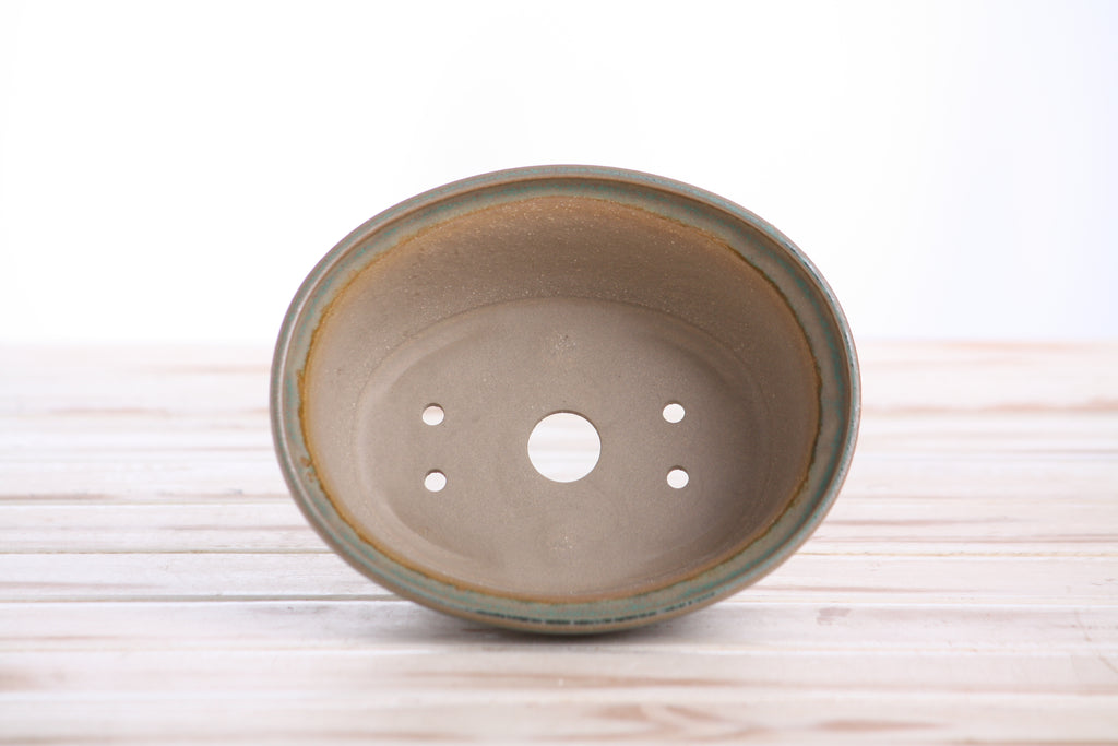 Willow Bonsai Ceramics Fat Bonsai Pot 5.5 Inch – Bold Oval Ceramic Bonsai & Succulent Planter with Accentuated Rim, High‑Fired Frost‑Proof Stoneware, Handmade in USA (Speckled Moss)