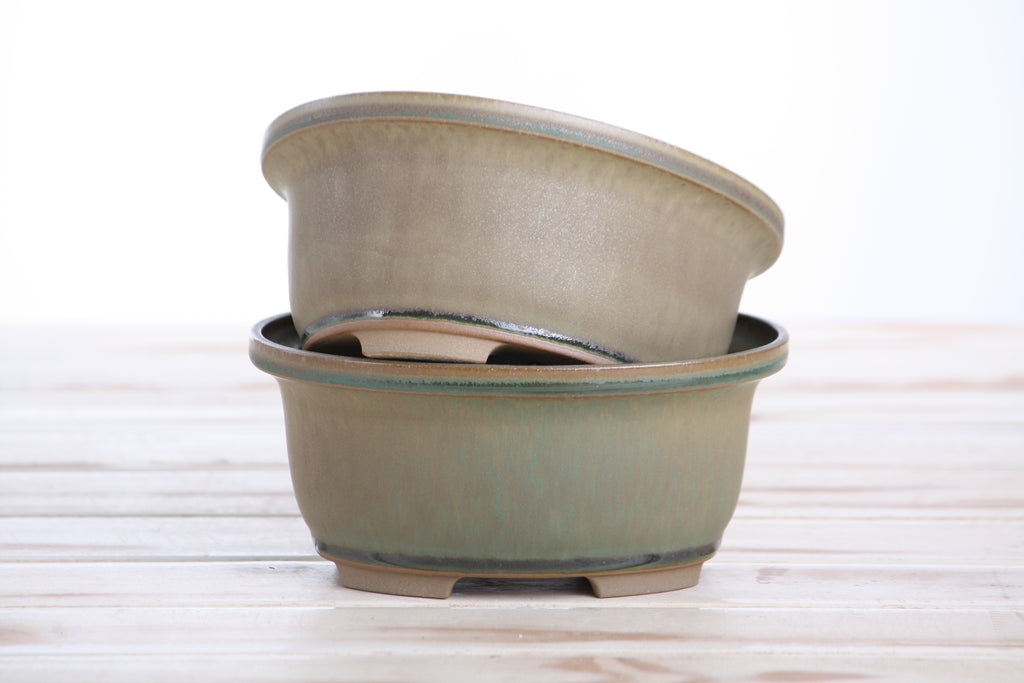 Willow Bonsai Ceramics Fat Bonsai Pot 5.5 Inch – Bold Oval Ceramic Bonsai & Succulent Planter with Accentuated Rim, High‑Fired Frost‑Proof Stoneware, Handmade in USA (Speckled Moss)