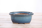 Willow Bonsai Ceramics Fat Bonsai Pot 6.5 Inch – Bold Oval Ceramic Bonsai & Succulent Planter with Accentuated Rim, High‑Fired Frost‑Proof Stoneware, Handmade in USA (Peacock)