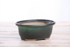 Willow Bonsai Ceramics Fat Bonsai Pot 6.5 Inch – Bold Oval Ceramic Bonsai & Succulent Planter with Accentuated Rim, High‑Fired Frost‑Proof Stoneware, Handmade in USA (Avocado)