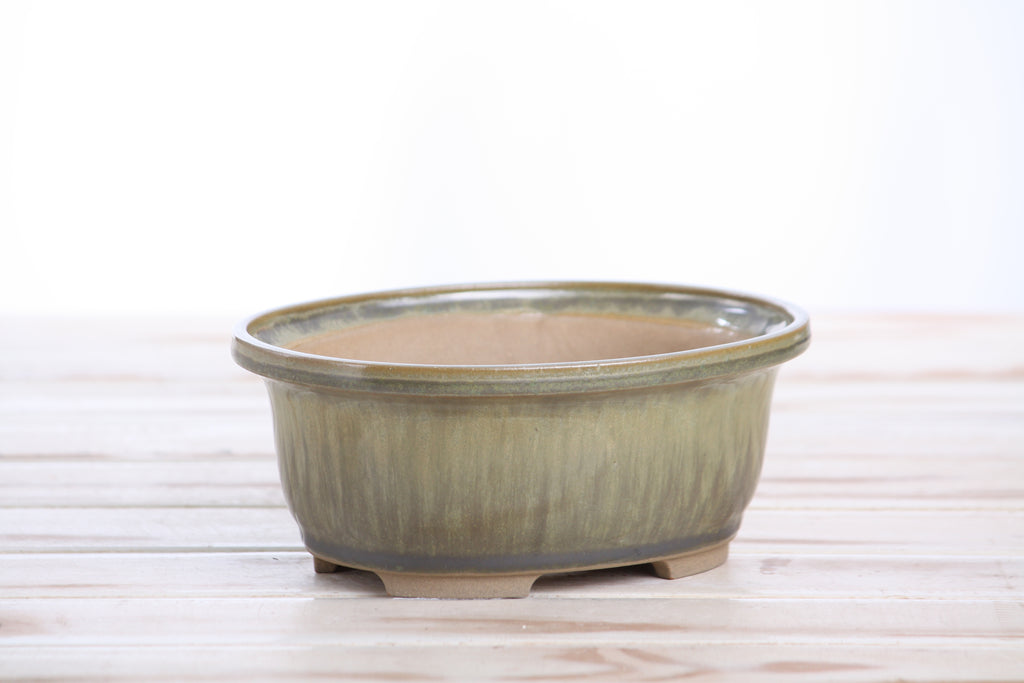Willow Bonsai Ceramics Fat Bonsai Pot 6.5 Inch – Bold Oval Ceramic Bonsai & Succulent Planter with Accentuated Rim, High‑Fired Frost‑Proof Stoneware, Handmade in USA (Copenhagen)