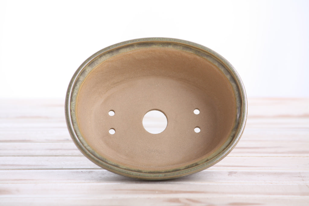 Willow Bonsai Ceramics Fat Bonsai Pot 6.5 Inch – Bold Oval Ceramic Bonsai & Succulent Planter with Accentuated Rim, High‑Fired Frost‑Proof Stoneware, Handmade in USA (Copenhagen)