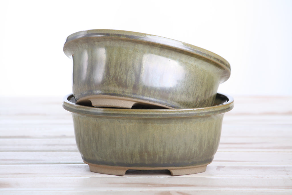Willow Bonsai Ceramics Fat Bonsai Pot 6.5 Inch – Bold Oval Ceramic Bonsai & Succulent Planter with Accentuated Rim, High‑Fired Frost‑Proof Stoneware, Handmade in USA (Copenhagen)
