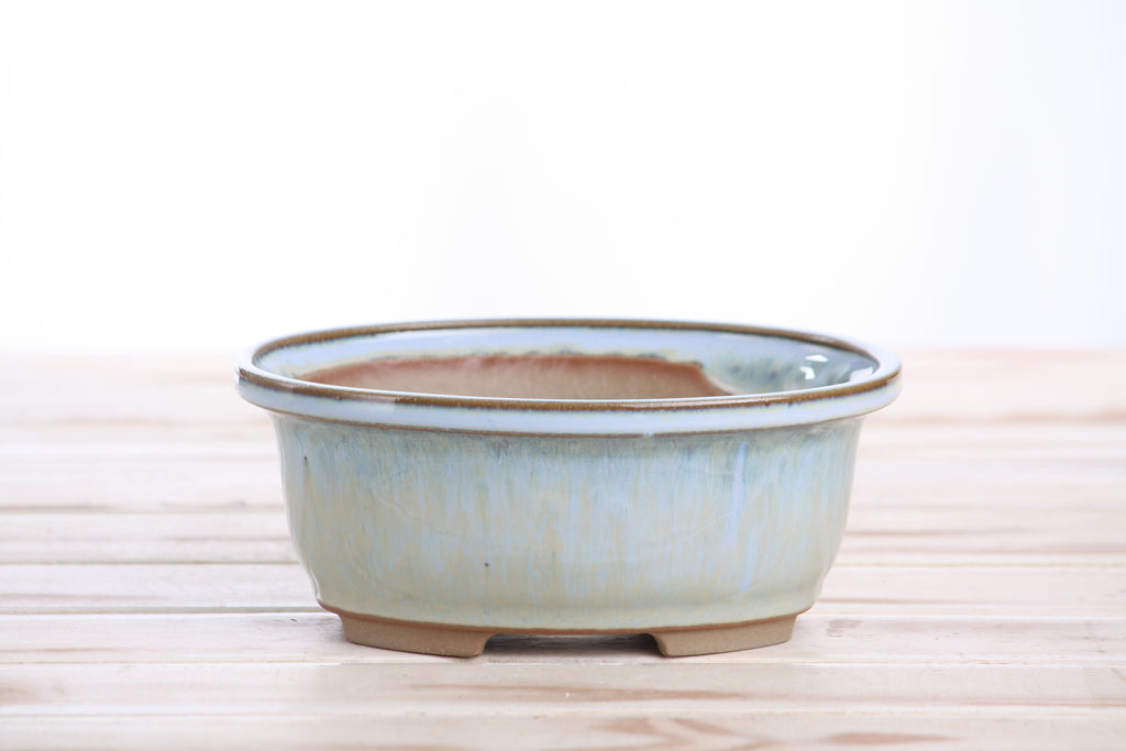 Willow Bonsai Ceramics Fat Bonsai Pot 6.5 Inch – Bold Oval Ceramic Bonsai & Succulent Planter with Accentuated Rim, High‑Fired Frost‑Proof Stoneware, Handmade in USA (Glacier)