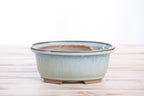 Willow Bonsai Ceramics Fat Bonsai Pot 6.5 Inch – Bold Oval Ceramic Bonsai & Succulent Planter with Accentuated Rim, High‑Fired Frost‑Proof Stoneware, Handmade in USA (Glacier)