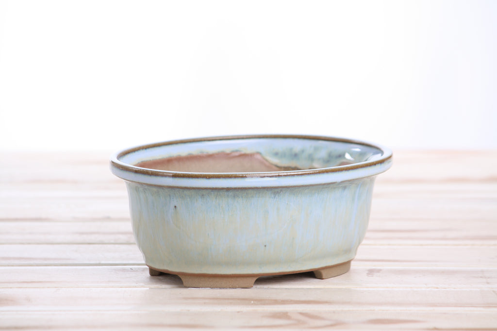 Willow Bonsai Ceramics Fat Bonsai Pot 6.5 Inch – Bold Oval Ceramic Bonsai & Succulent Planter with Accentuated Rim, High‑Fired Frost‑Proof Stoneware, Handmade in USA (Glacier)