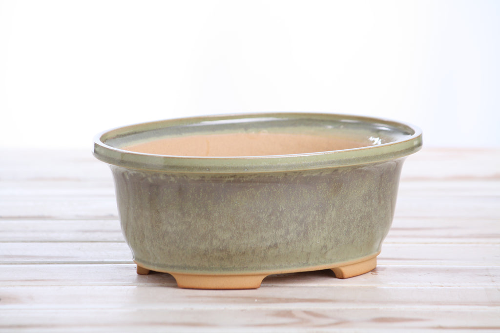 Willow Bonsai Ceramics Fat Bonsai Pot 7.5 Inch – Bold Oval Ceramic Bonsai & Succulent Planter with Accentuated Rim, High‑Fired Frost‑Proof Stoneware, Handmade in USA (Copenhagen)