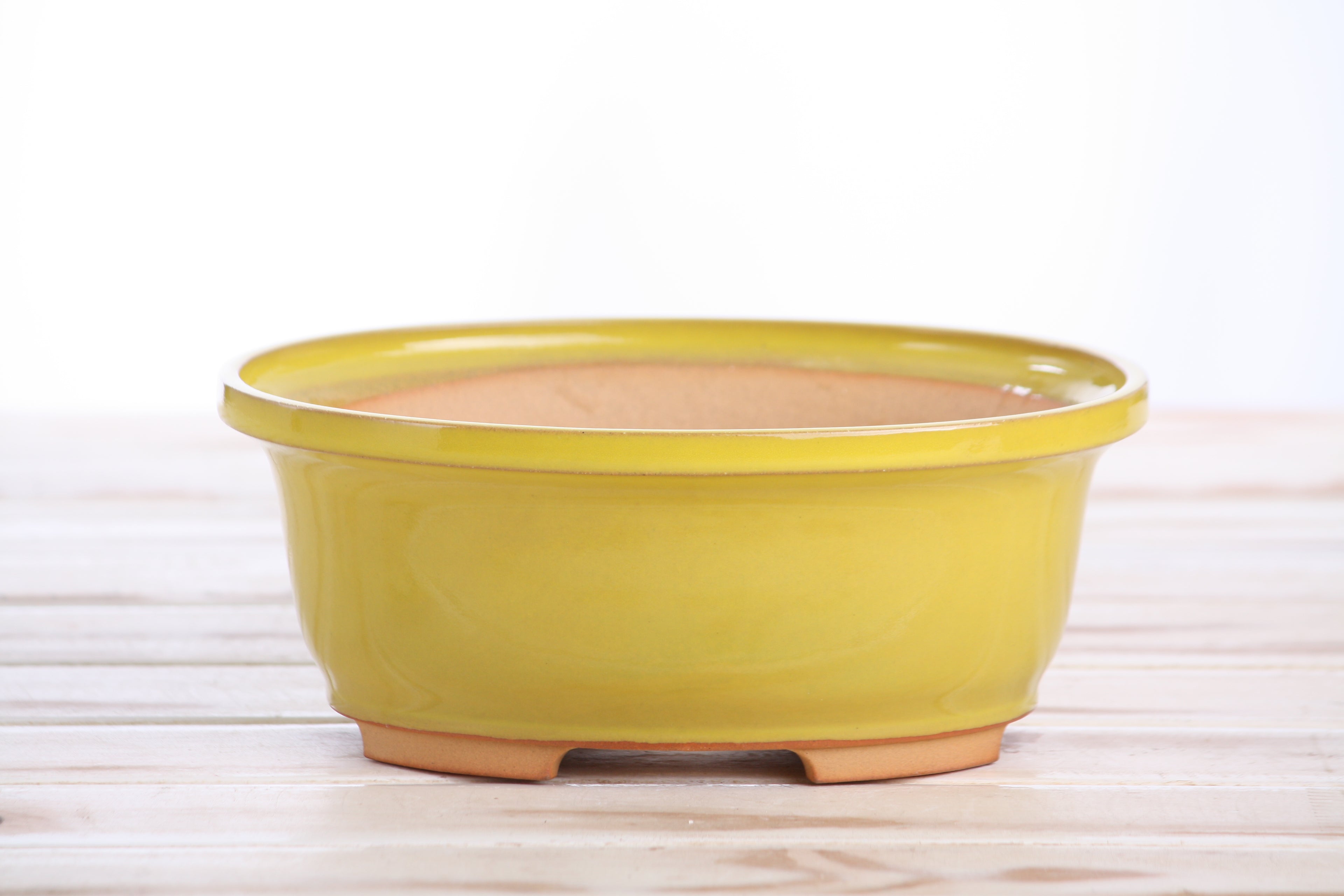 Willow Bonsai Ceramics Fat Bonsai Pot 7.5 Inch – Bold Oval Ceramic Bonsai & Succulent Planter with Accentuated Rim, High‑Fired Frost‑Proof Stoneware, Handmade in USA (Yellow)