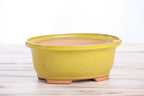 Willow Bonsai Ceramics Fat Bonsai Pot 7.5 Inch – Bold Oval Ceramic Bonsai & Succulent Planter with Accentuated Rim, High‑Fired Frost‑Proof Stoneware, Handmade in USA (Yellow)