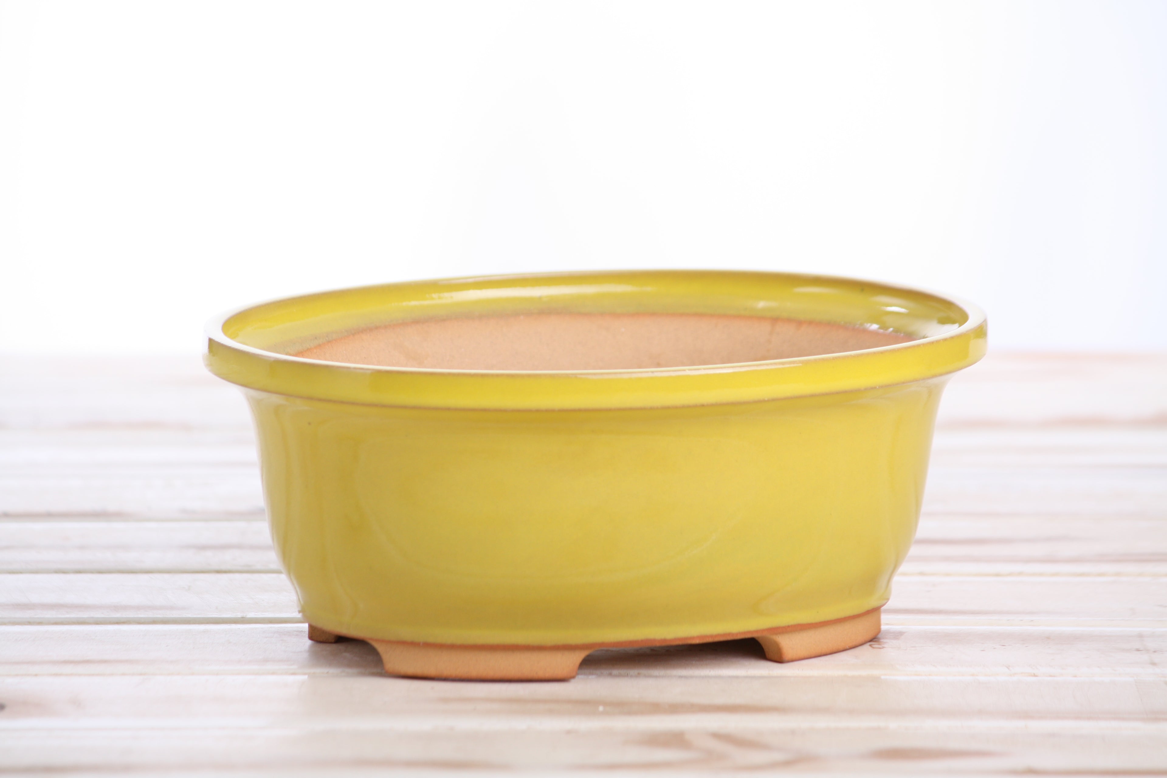 Willow Bonsai Ceramics Fat Bonsai Pot 7.5 Inch – Bold Oval Ceramic Bonsai & Succulent Planter with Accentuated Rim, High‑Fired Frost‑Proof Stoneware, Handmade in USA (Yellow)