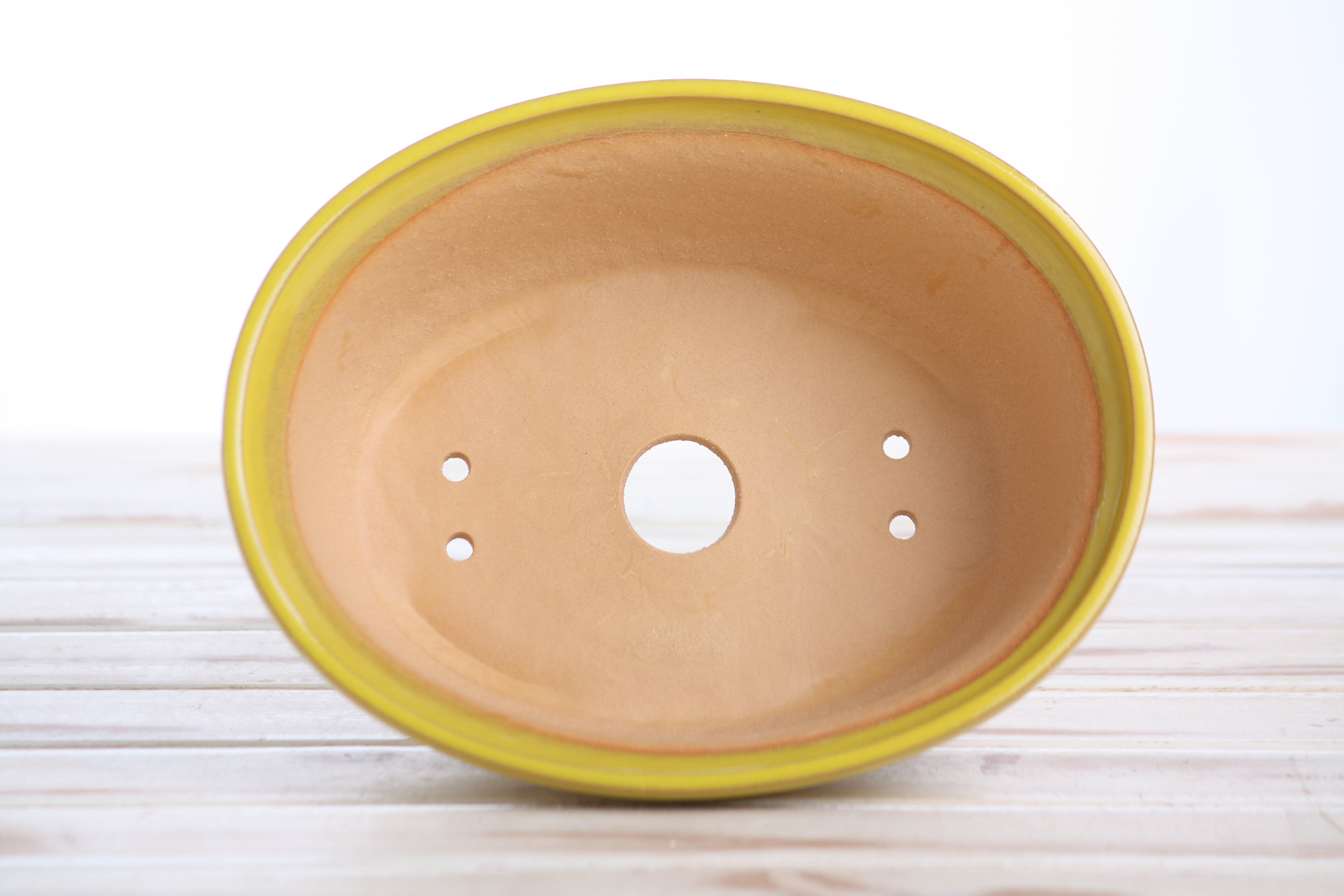 Willow Bonsai Ceramics Fat Bonsai Pot 7.5 Inch – Bold Oval Ceramic Bonsai & Succulent Planter with Accentuated Rim, High‑Fired Frost‑Proof Stoneware, Handmade in USA (Yellow)