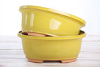 Willow Bonsai Ceramics Fat Bonsai Pot 7.5 Inch – Bold Oval Ceramic Bonsai & Succulent Planter with Accentuated Rim, High‑Fired Frost‑Proof Stoneware, Handmade in USA (Yellow)