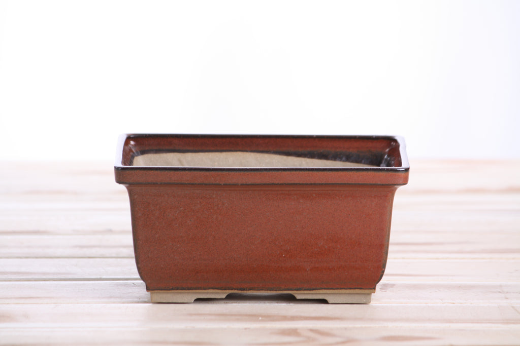 Willow Bonsai Ceramics Rectangle Deep Bonsai Pot 6 Inch – Higher‑Profile Rectangular Ceramic Bonsai & Succulent Planter with Accentuated Rim, High‑Fired Frost‑Proof Stoneware, Handmade in USA (Sunset)