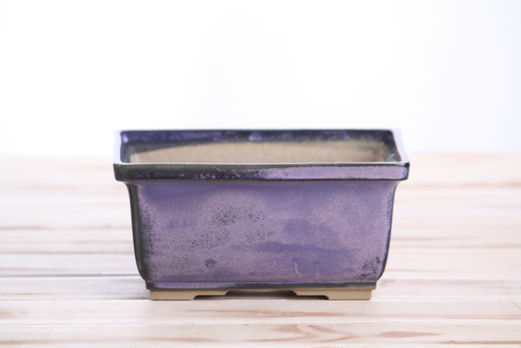 Willow Bonsai Ceramics Rectangle Deep Bonsai Pot 6 Inch – Higher‑Profile Rectangular Ceramic Bonsai & Succulent Planter with Accentuated Rim, High‑Fired Frost‑Proof Stoneware, Handmade in USA (Purple)