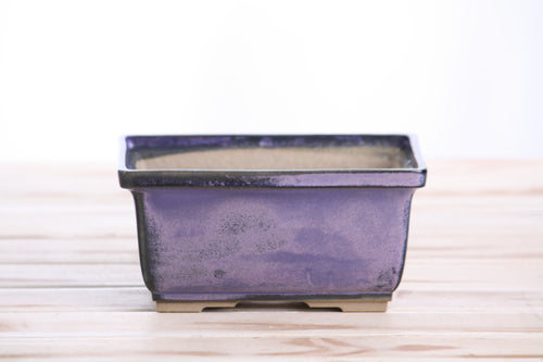 Willow Bonsai Ceramics Rectangle Deep Bonsai Pot 6 Inch – Higher‑Profile Rectangular Ceramic Bonsai & Succulent Planter with Accentuated Rim, High‑Fired Frost‑Proof Stoneware, Handmade in USA (Purple)