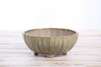 Willow Bonsai Ceramics Lily Bonsai Pot 6 Inch – Sculpted Rounded Ceramic Bonsai & Succulent Planter with Wavy Profile, High‑Fired Frost‑Proof Stoneware, Handmade in USA (Copenhagen)