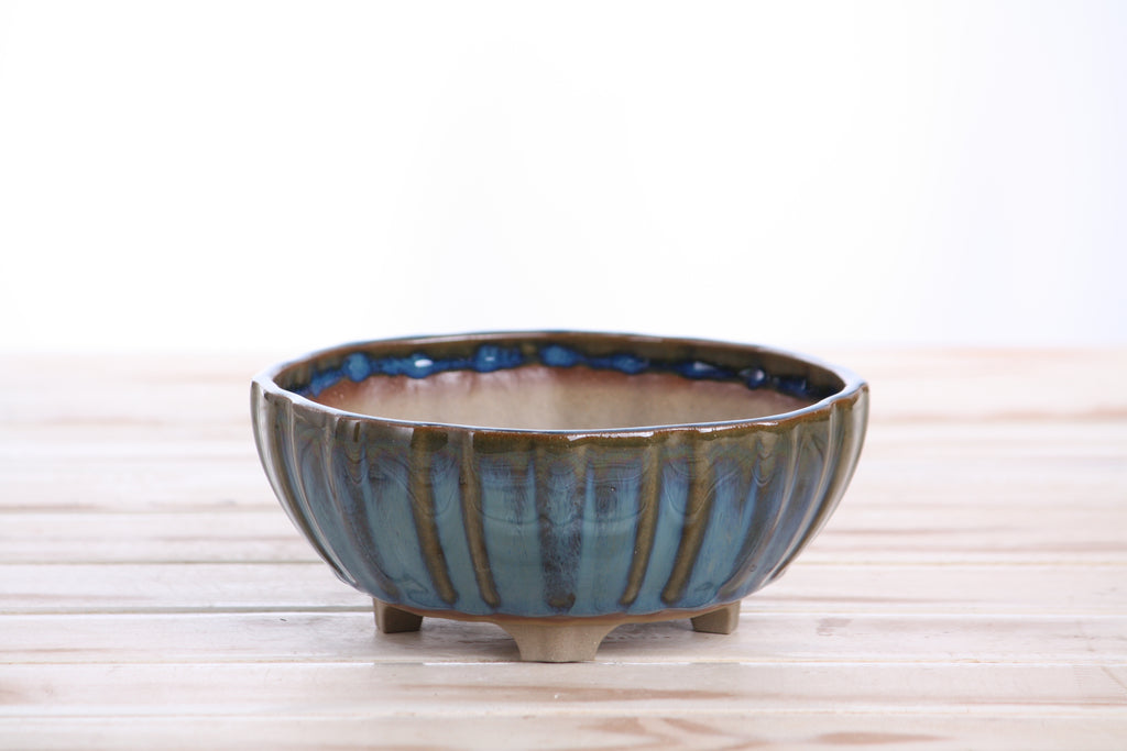 Willow Bonsai Ceramics Lily Bonsai Pot 6 Inch – Sculpted Rounded Ceramic Bonsai & Succulent Planter with Wavy Profile, High‑Fired Frost‑Proof Stoneware, Handmade in USA (Peacock)
