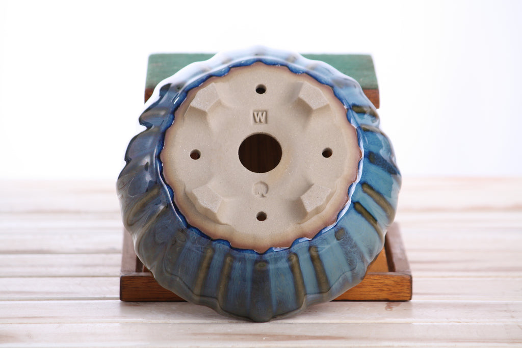 Willow Bonsai Ceramics Lily Bonsai Pot 6 Inch – Sculpted Rounded Ceramic Bonsai & Succulent Planter with Wavy Profile, High‑Fired Frost‑Proof Stoneware, Handmade in USA (Peacock)