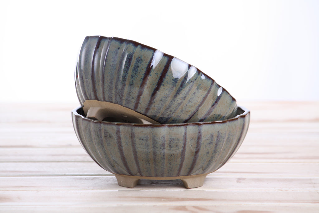 Willow Bonsai Ceramics Lily Bonsai Pot 6 Inch – Sculpted Rounded Ceramic Bonsai & Succulent Planter with Wavy Profile, High‑Fired Frost‑Proof Stoneware, Handmade in USA (Starry Night)