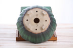 Willow Bonsai Ceramics Lily Bonsai Pot 6 Inch – Sculpted Rounded Ceramic Bonsai & Succulent Planter with Wavy Profile, High‑Fired Frost‑Proof Stoneware, Handmade in USA (Avocado)
