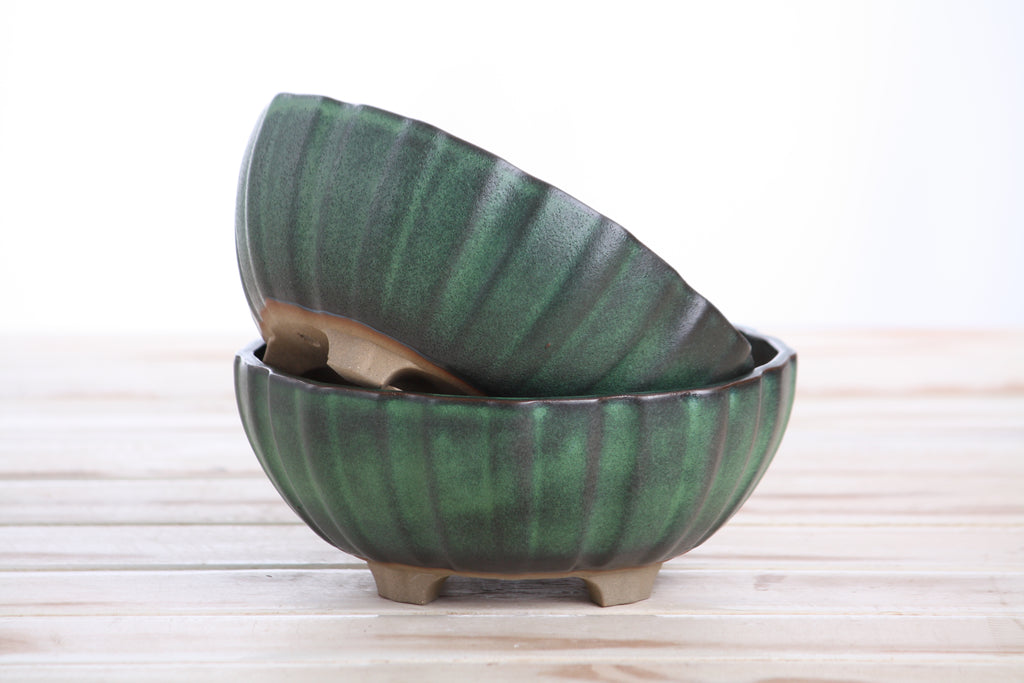 Willow Bonsai Ceramics Lily Bonsai Pot 6 Inch – Sculpted Rounded Ceramic Bonsai & Succulent Planter with Wavy Profile, High‑Fired Frost‑Proof Stoneware, Handmade in USA (Avocado)