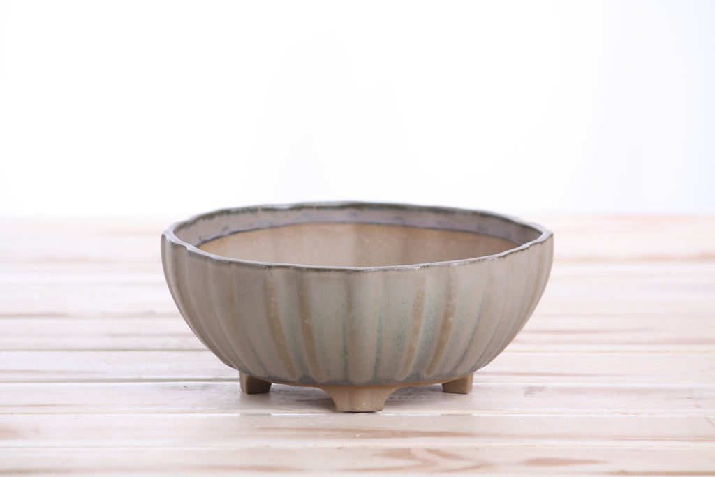 Willow Bonsai Ceramics Lily Bonsai Pot 6 Inch – Sculpted Rounded Ceramic Bonsai & Succulent Planter with Wavy Profile, High‑Fired Frost‑Proof Stoneware, Handmade in USA (Ocean)
