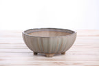 Willow Bonsai Ceramics Lily Bonsai Pot 6 Inch – Sculpted Rounded Ceramic Bonsai & Succulent Planter with Wavy Profile, High‑Fired Frost‑Proof Stoneware, Handmade in USA (Ocean)