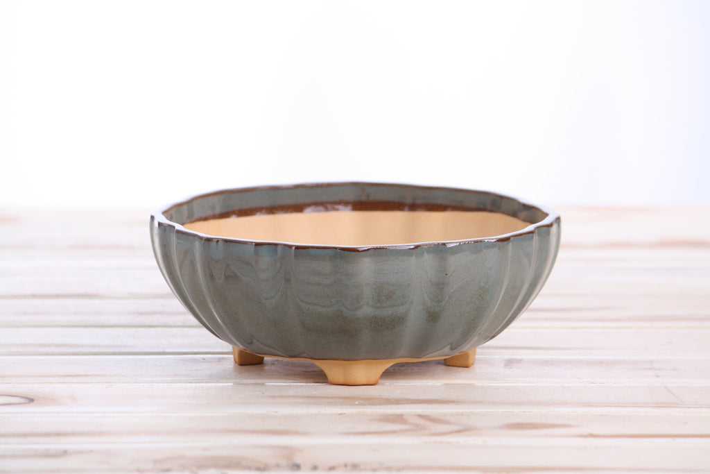 Willow Bonsai Ceramics Lily Bonsai Pot 7 Inch – Sculpted Rounded Ceramic Bonsai & Succulent Planter with Wavy Profile, High‑Fired Frost‑Proof Stoneware, Handmade in USA (Starry Night)