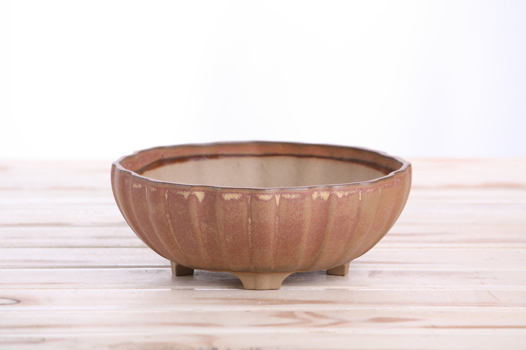 Willow Bonsai Ceramics Lily Bonsai Pot 7 Inch – Sculpted Rounded Ceramic Bonsai & Succulent Planter with Wavy Profile, High‑Fired Frost‑Proof Stoneware, Handmade in USA (Deep Stone)