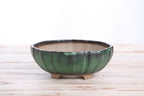 Willow Bonsai Ceramics Lily Bonsai Pot 7 Inch – Sculpted Rounded Ceramic Bonsai & Succulent Planter with Wavy Profile, High‑Fired Frost‑Proof Stoneware, Handmade in USA (Avocado)