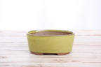 Willow Bonsai Ceramics Oval A Bonsai Pot 6 Inch – Straight‑Sided Oval Ceramic Bonsai & Succulent Planter, High‑Fired Frost‑Proof Stoneware with Drainage & Wiring Holes, Handmade in USA (Yellow)