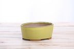 Willow Bonsai Ceramics Oval A Bonsai Pot 6 Inch – Straight‑Sided Oval Ceramic Bonsai & Succulent Planter, High‑Fired Frost‑Proof Stoneware with Drainage & Wiring Holes, Handmade in USA (Yellow)