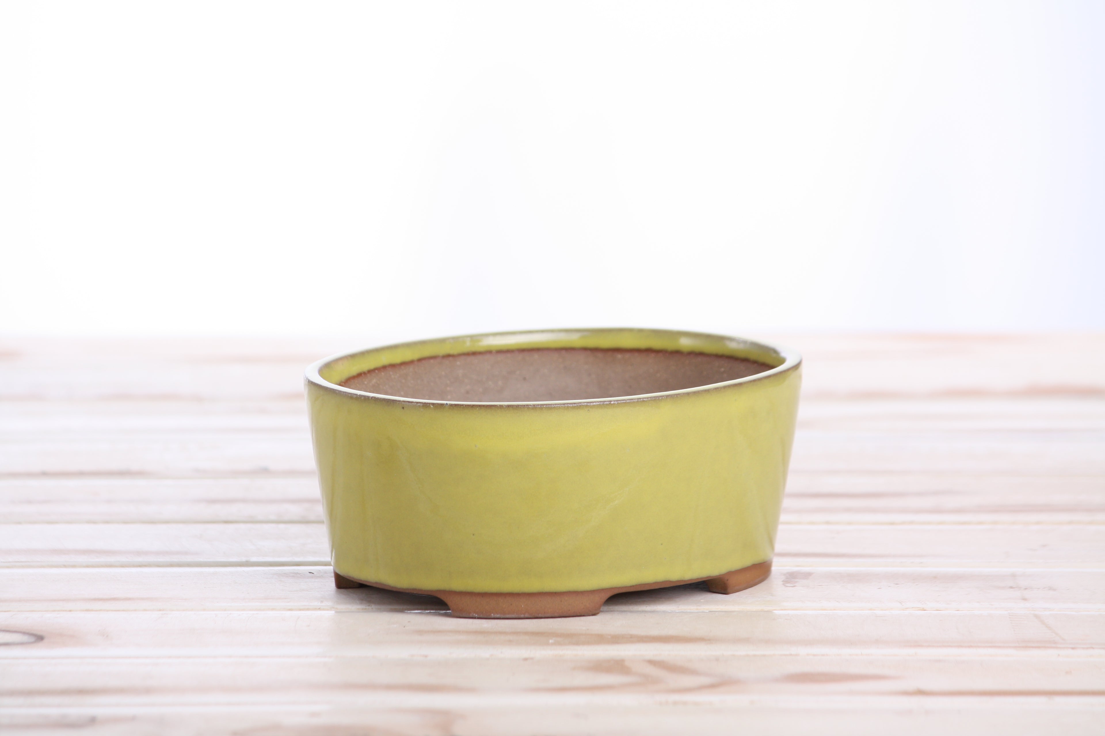 Willow Bonsai Ceramics Oval A Bonsai Pot 6 Inch – Straight‑Sided Oval Ceramic Bonsai & Succulent Planter, High‑Fired Frost‑Proof Stoneware with Drainage & Wiring Holes, Handmade in USA (Yellow)