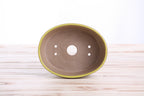 Willow Bonsai Ceramics Oval A Bonsai Pot 6 Inch – Straight‑Sided Oval Ceramic Bonsai & Succulent Planter, High‑Fired Frost‑Proof Stoneware with Drainage & Wiring Holes, Handmade in USA (Yellow)