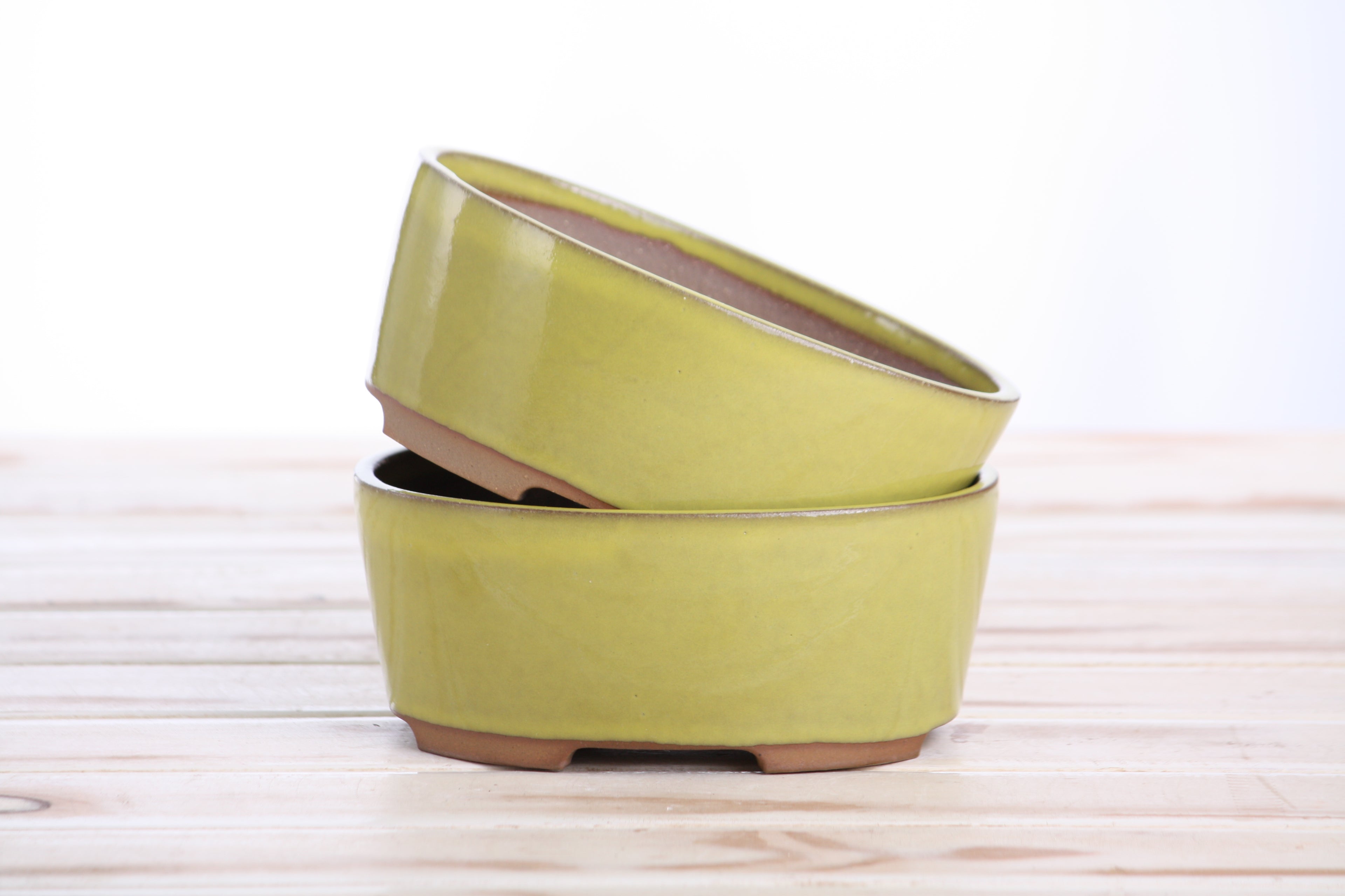 Willow Bonsai Ceramics Oval A Bonsai Pot 6 Inch – Straight‑Sided Oval Ceramic Bonsai & Succulent Planter, High‑Fired Frost‑Proof Stoneware with Drainage & Wiring Holes, Handmade in USA (Yellow)
