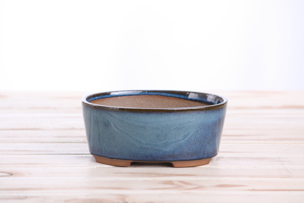 Willow Bonsai Ceramics Oval A Bonsai Pot 6 Inch – Straight‑Sided Oval Ceramic Bonsai & Succulent Planter, High‑Fired Frost‑Proof Stoneware with Drainage & Wiring Holes, Handmade in USA (Peacock 2025)