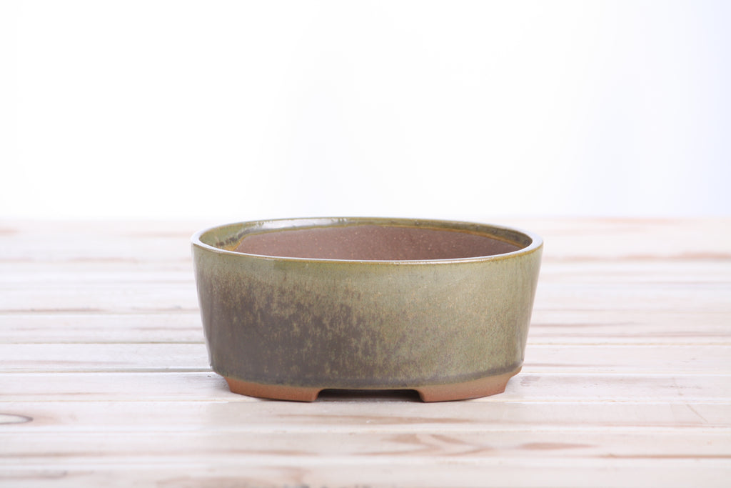 Willow Bonsai Ceramics Oval A Bonsai Pot 6 Inch – Straight‑Sided Oval Ceramic Bonsai & Succulent Planter, High‑Fired Frost‑Proof Stoneware with Drainage & Wiring Holes, Handmade in USA (Copenhagen)