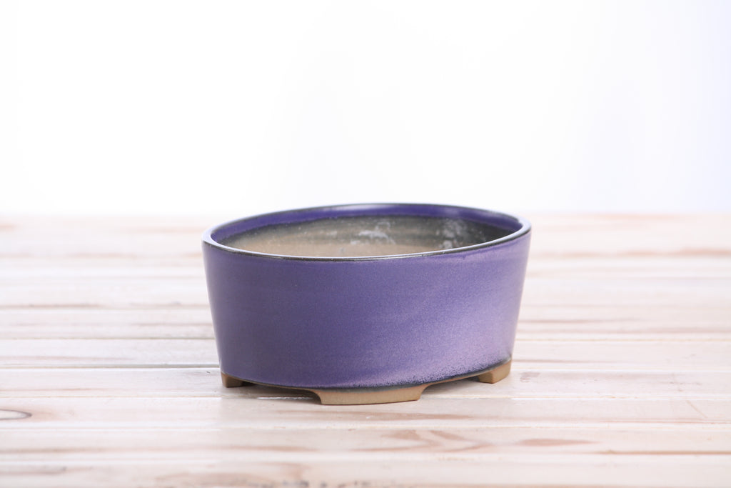 Willow Bonsai Ceramics Oval A Bonsai Pot 6 Inch – Straight‑Sided Oval Ceramic Bonsai & Succulent Planter, High‑Fired Frost‑Proof Stoneware with Drainage & Wiring Holes, Handmade in USA (Purple)
