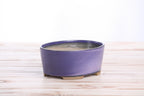 Willow Bonsai Ceramics Oval A Bonsai Pot 6 Inch – Straight‑Sided Oval Ceramic Bonsai & Succulent Planter, High‑Fired Frost‑Proof Stoneware with Drainage & Wiring Holes, Handmade in USA (Purple)