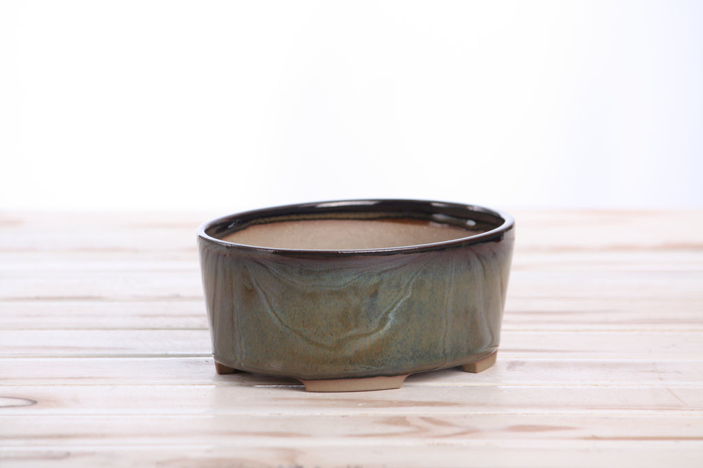 Willow Bonsai Ceramics Oval A Bonsai Pot 6 Inch – Straight‑Sided Oval Ceramic Bonsai & Succulent Planter, High‑Fired Frost‑Proof Stoneware with Drainage & Wiring Holes, Handmade in USA (Dark Honey)