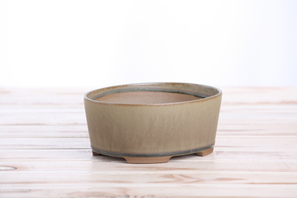 Willow Bonsai Ceramics Oval A Bonsai Pot 6 Inch – Straight‑Sided Oval Ceramic Bonsai & Succulent Planter, High‑Fired Frost‑Proof Stoneware with Drainage & Wiring Holes, Handmade in USA (Speckled Moss)