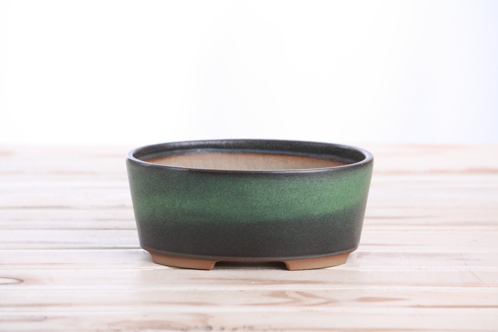 Willow Bonsai Ceramics Oval A Bonsai Pot 6 Inch – Straight‑Sided Oval Ceramic Bonsai & Succulent Planter, High‑Fired Frost‑Proof Stoneware with Drainage & Wiring Holes, Handmade in USA (Avocado)