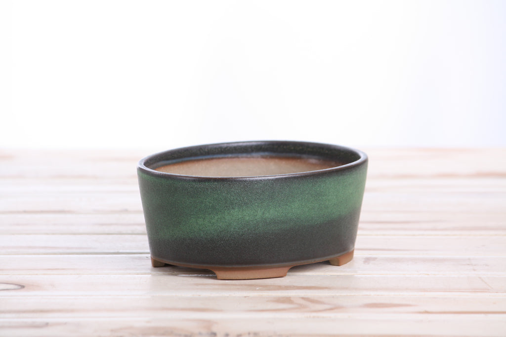Willow Bonsai Ceramics Oval A Bonsai Pot 6 Inch – Straight‑Sided Oval Ceramic Bonsai & Succulent Planter, High‑Fired Frost‑Proof Stoneware with Drainage & Wiring Holes, Handmade in USA (Avocado)