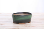 Willow Bonsai Ceramics Oval A Bonsai Pot 6 Inch – Straight‑Sided Oval Ceramic Bonsai & Succulent Planter, High‑Fired Frost‑Proof Stoneware with Drainage & Wiring Holes, Handmade in USA (Avocado)