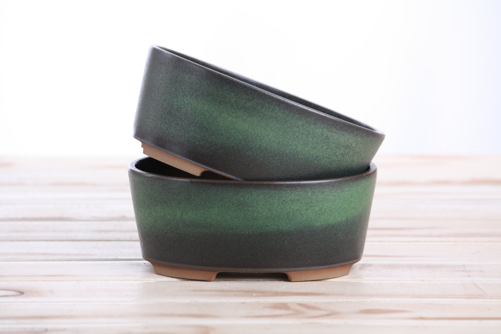 Willow Bonsai Ceramics Oval A Bonsai Pot 6 Inch – Straight‑Sided Oval Ceramic Bonsai & Succulent Planter, High‑Fired Frost‑Proof Stoneware with Drainage & Wiring Holes, Handmade in USA (Avocado)