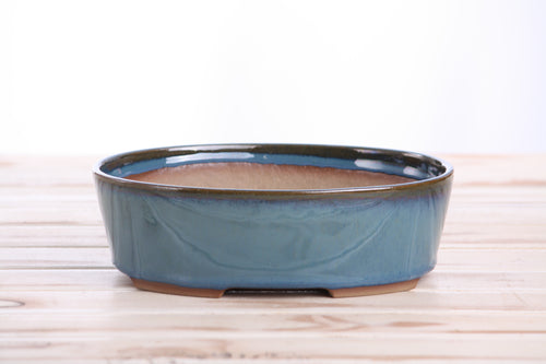 Willow Bonsai Ceramics Oval A Bonsai Pot 8 Inch – Straight‑Sided Oval Ceramic Bonsai & Succulent Planter, High‑Fired Frost‑Proof Stoneware with Drainage & Wiring Holes, Handmade in USA (Peacock 2025)