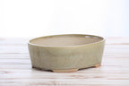 Willow Bonsai Ceramics Oval A Bonsai Pot 8 Inch – Straight‑Sided Oval Ceramic Bonsai & Succulent Planter, High‑Fired Frost‑Proof Stoneware with Drainage & Wiring Holes, Handmade in USA (Copenhagen)